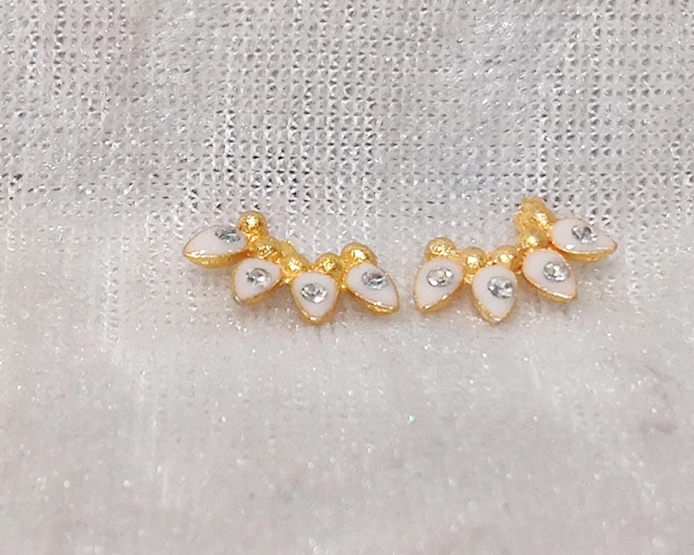 Chitraji Diamond Meenakari Nupur.