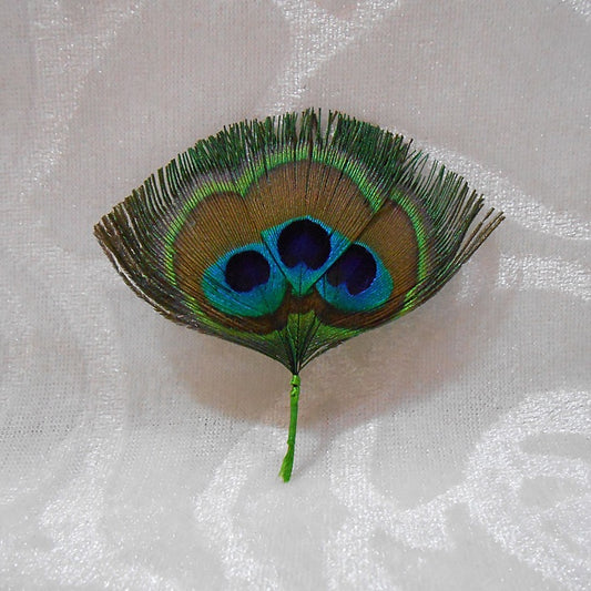 3 Jod Morpankh (Peacock Feather)