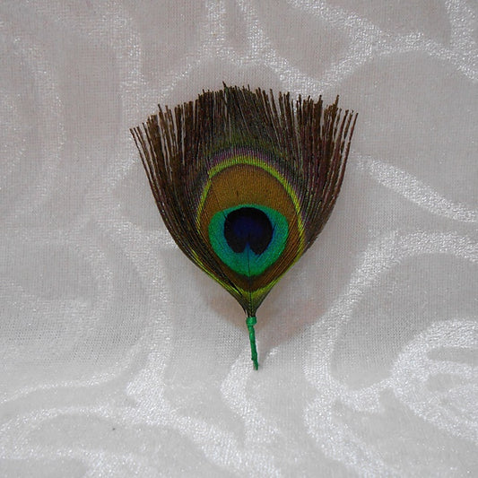 1 Jod Morpankh (Peacock Feather)