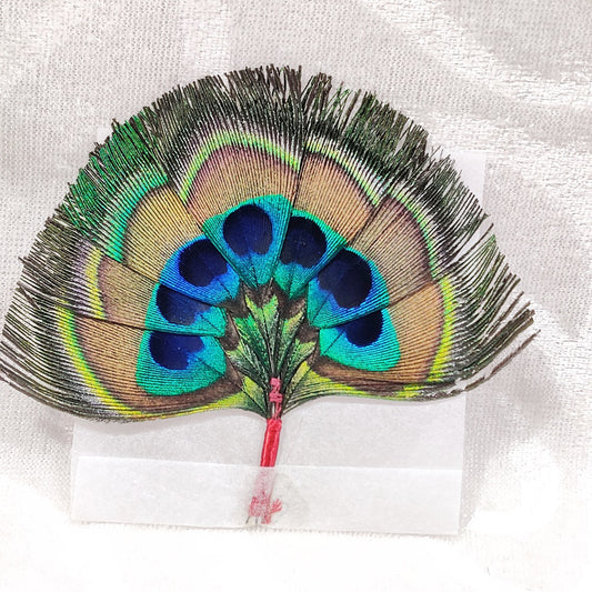 Saat (Seven) Jod Mor Pankh, Peacock Feather