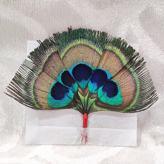 Paanch (Five) Jod Mor Pankh, Peacock Feather