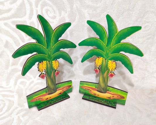 Banana Tree, Medium