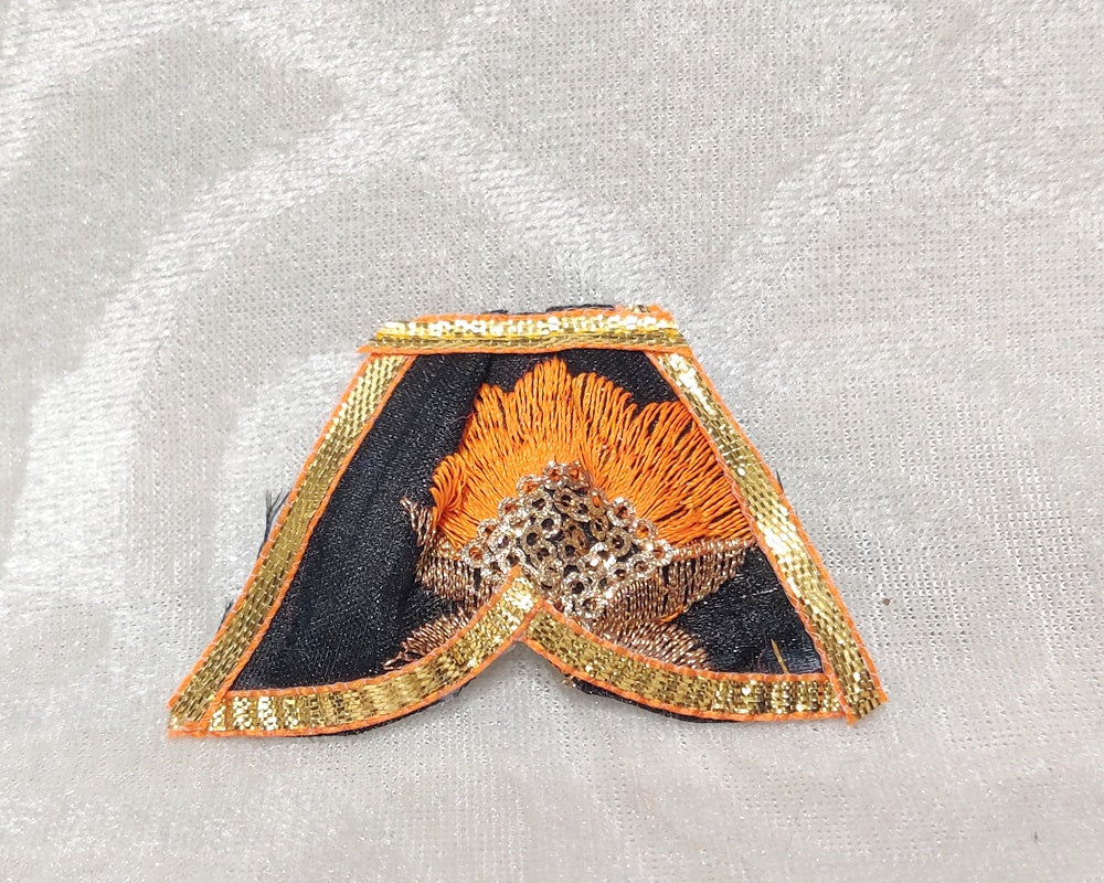 Zari Pichoda